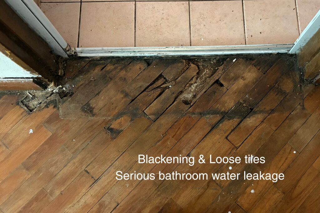 black-stains-loose-tiles-water-damage-parquet-toilet-leakage-mr-wood-varnish