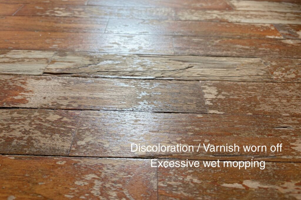 wet-mopping-discoloration-water-damage-parquet-mr-wood-varnish